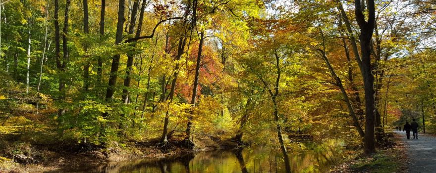 Delaware County