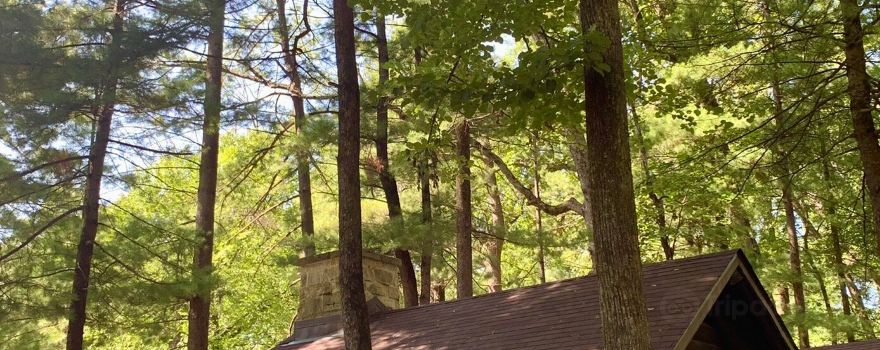 White Pines Forest State Park