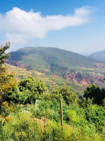 Béni Mellal-Khénifra