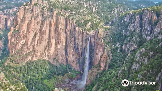 Cascada de Basaseachi National Park