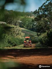 CherryHill Orchards - Wandin East