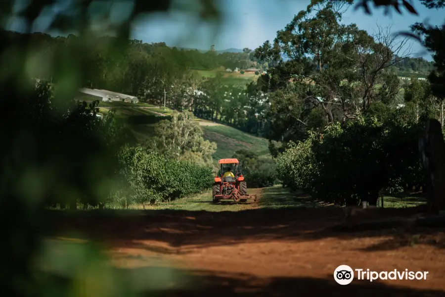 CherryHill Orchards - Wandin East