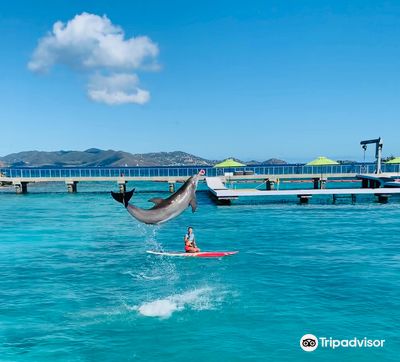 Coral World Ocean Park