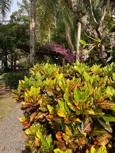 Parque Zoobotanico