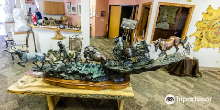 Petrified Wood Gallery