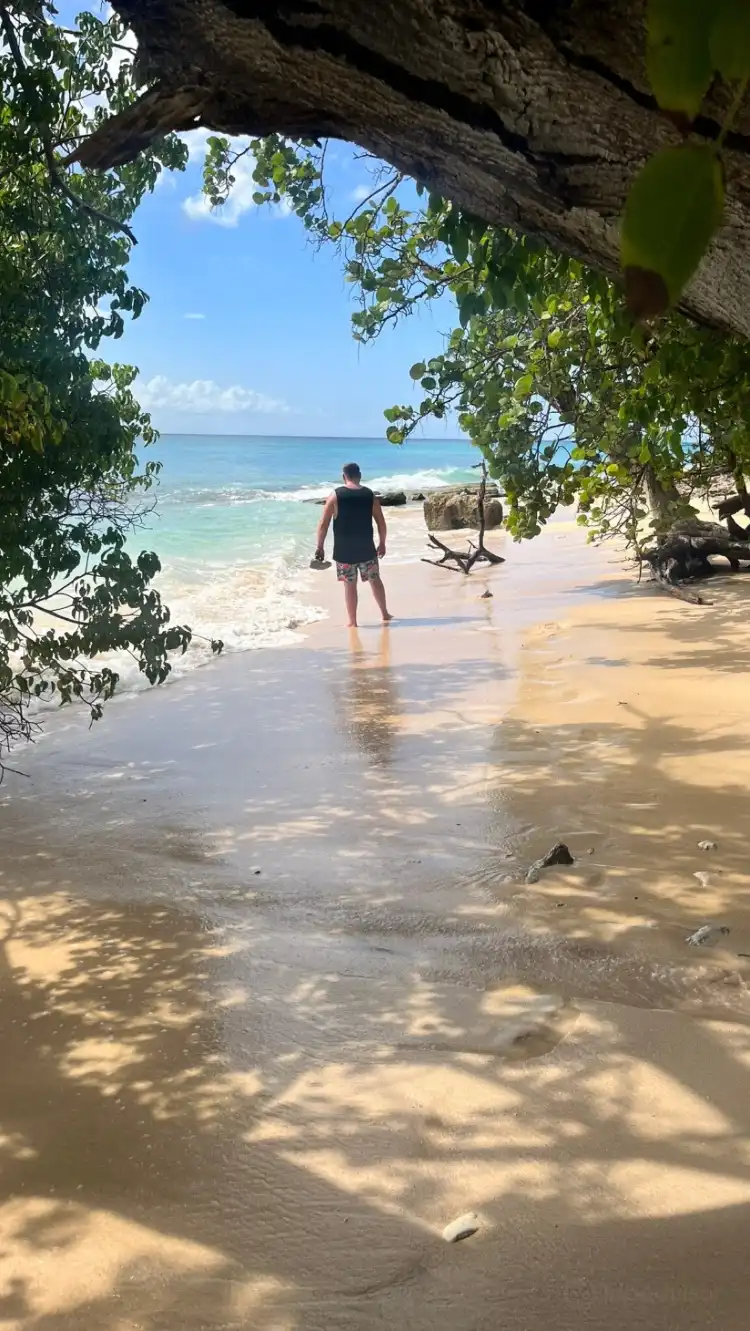 Hoteles en Prospect
