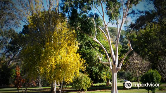 Bendigo Botanic Gardens
