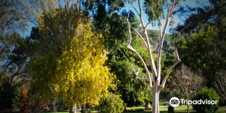 Bendigo Botanic Gardens