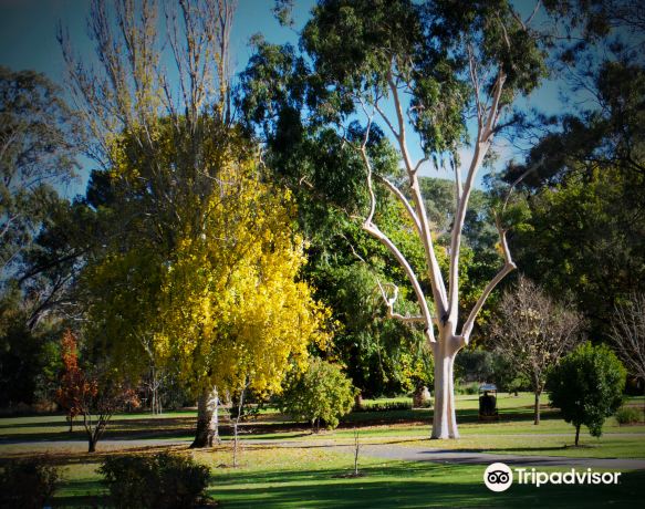 Bendigo Botanic Gardens