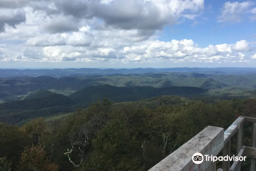 Monongahela National Forest