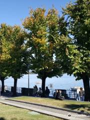 Lungo Lago Arona