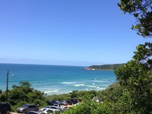 Praia do rosa sul