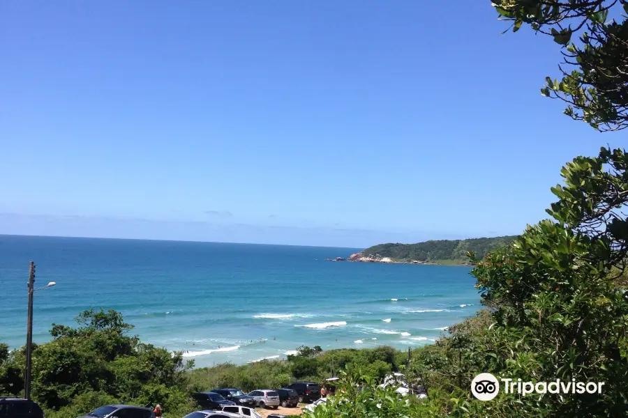 Praia do rosa sul