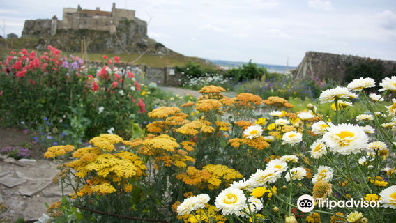 Gertrude Jekyll Garden