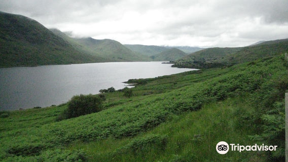 Connemara Safaris