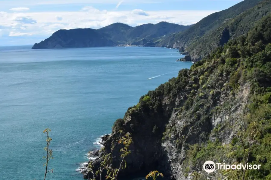 Bar La Terza Terra Corniglia