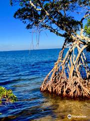 Emerson Point Preserve