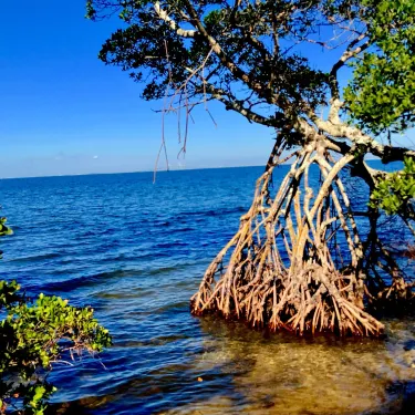 Manatee County