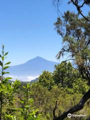 Gomera Walking