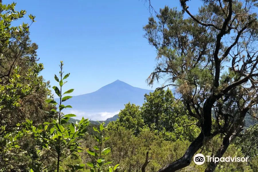 Gomera Walking