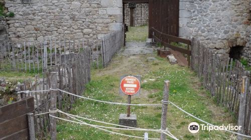 Château de Lastours