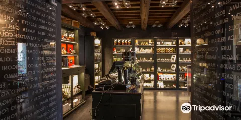 Museo del Tartufo Urbani