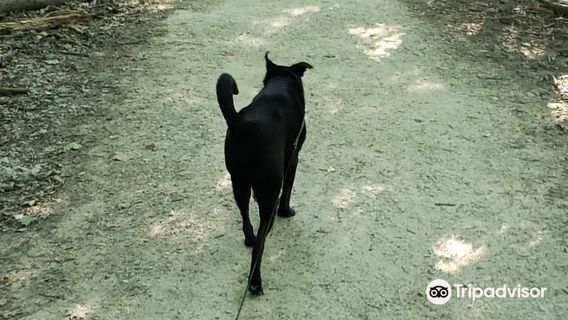 Columbia Reservation