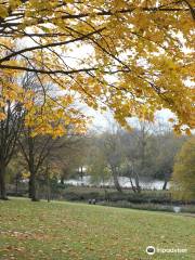 Fairlands Valley Park