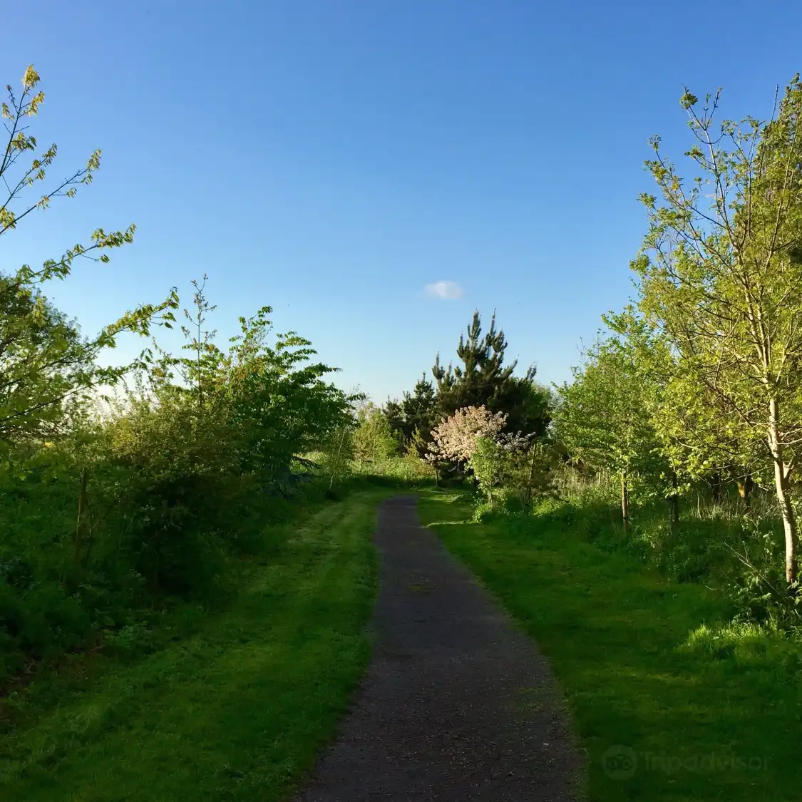 Hotels near Barling Magna Wildlife Reserve