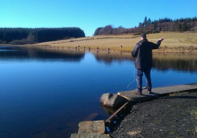 Lawfield Trout Fishery