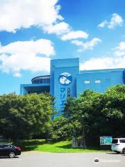 Marient (Hachinohe City Fisheries Science Museum)