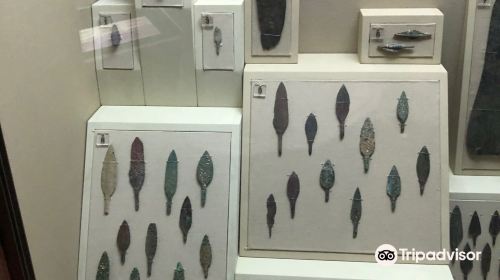 Sharjah Archaeology Museum