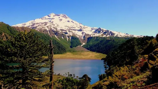 Fundo Laguna Blanca