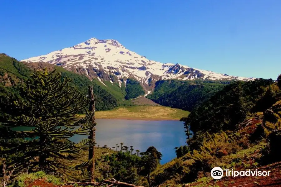 Fundo Laguna Blanca