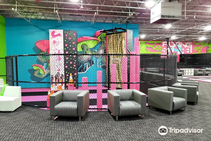 Flying Squirrel Trampoline Park