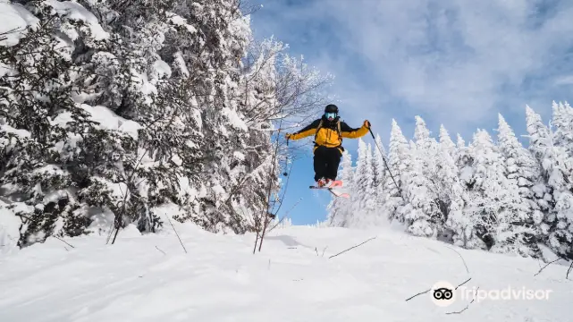 Welcome Suica&JR Line One Day Pass (Pick up at Haneda Airport)