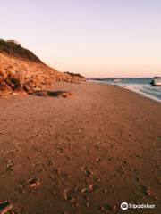 Cooks Brook Beach