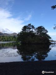 Derreen Garden(Gairdín Derreen)