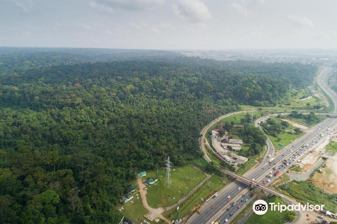 Latest travel itineraries for Banco National Park in November (updated in 2023), Banco National Park reviews, Banco National Park address and opening hours, popular attractions, hotels, and restaurants near Banco National Park -