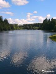 Tottiford Reservoir