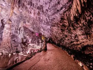 Grotte di Pertosa-Auletta