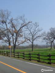 Country Park (Kumamoto Prefecture Agriculture Park)