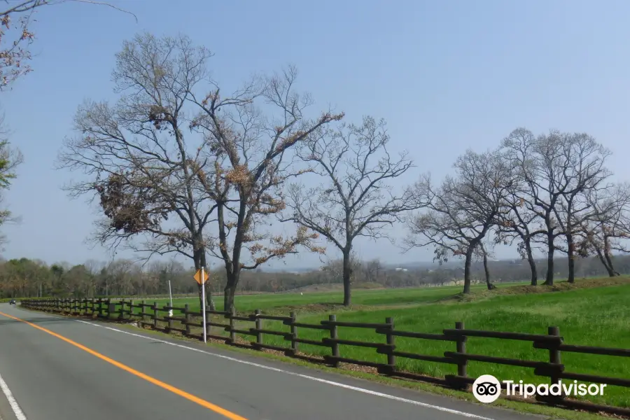 Country Park (Kumamoto Prefecture Agriculture Park)