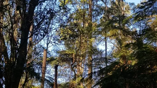 Sherbrooke Picnic Ground