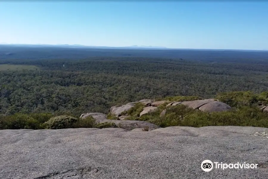 Mount Lindesay National Park