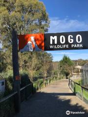 Mogo Wildlife Park