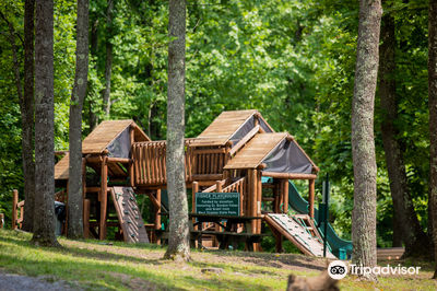Tygart Lake State Park