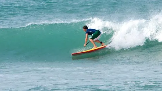 Surf Vista