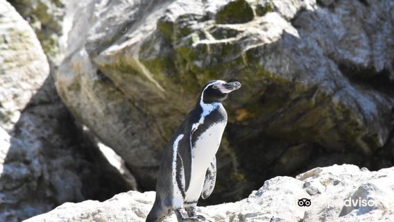 Ecoturismo La Serena