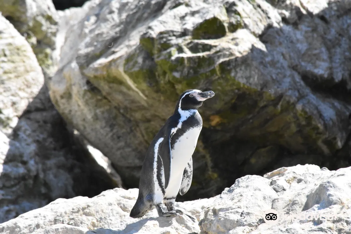Ecoturismo La Serena